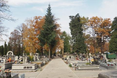 Nowy Sącz: jak najszybciej dotrzesz na cmentarze z dworców PKP i MDA?